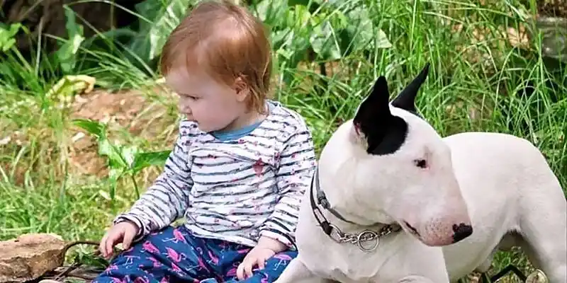 Niño jugando con perro