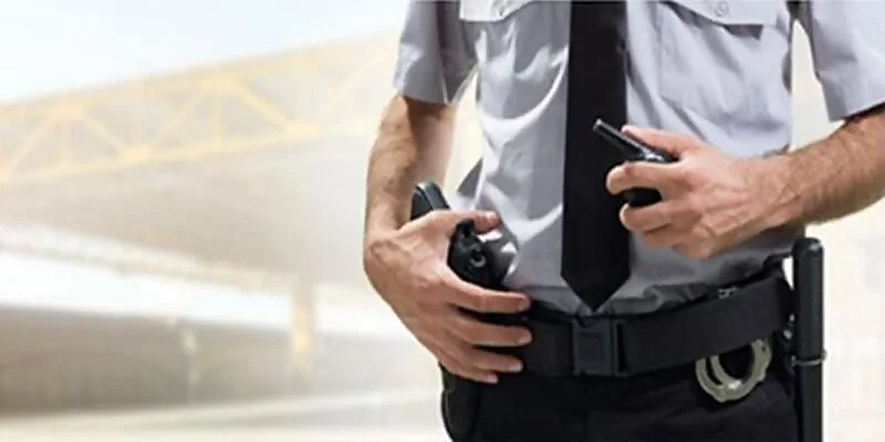 Tarjeta de Identidad Profesional Seguridad